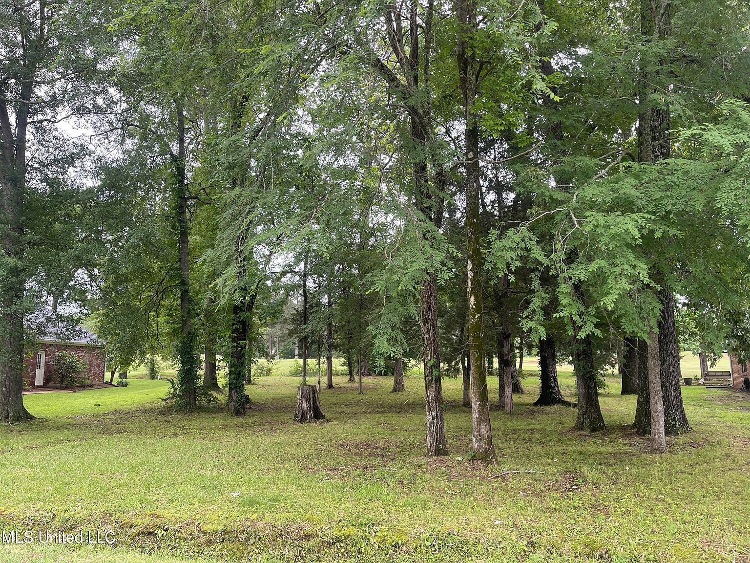 803 Oak Trl Canton, MS 39046 - Thumbnail 3