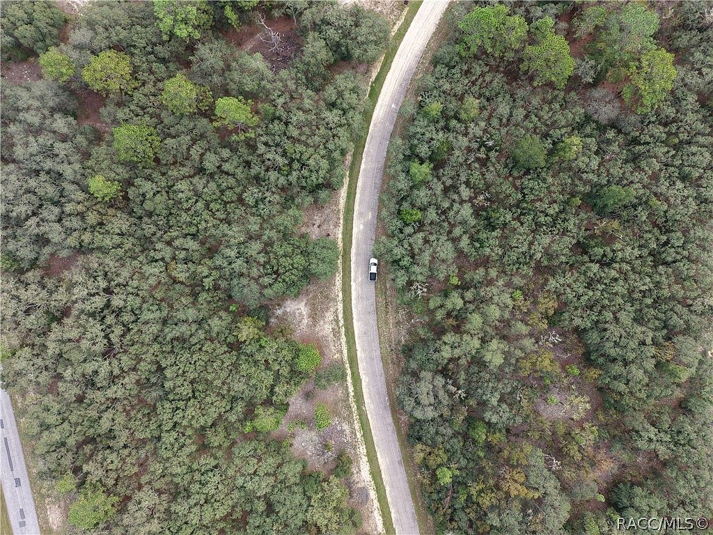 1379 W Hialeah Dr Citrus Springs, FL 34434 - Thumbnail 3