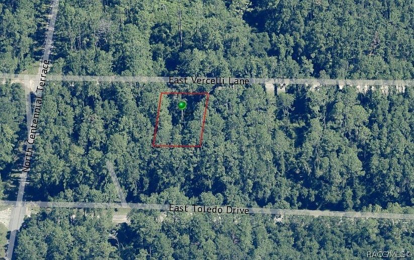 1016 E Vercelli Ln Citrus Springs, FL 34434 - Thumbnail 3