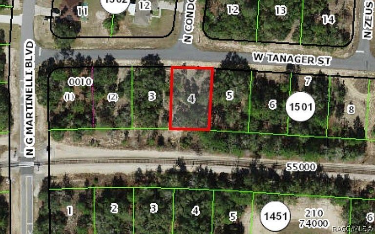 2654 W Tanager St Citrus Springs, FL 34433 - Thumbnail 3