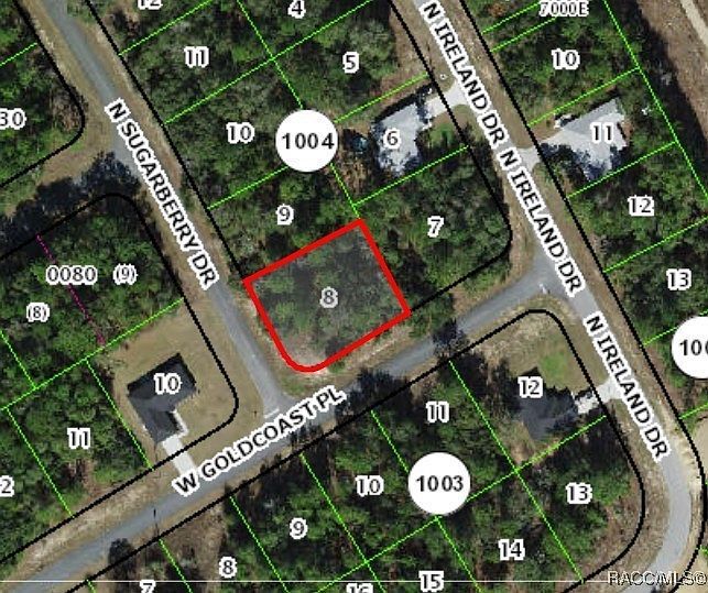 7363 N Sugarberry Dr Citrus Springs, FL 34434 - Thumbnail 3