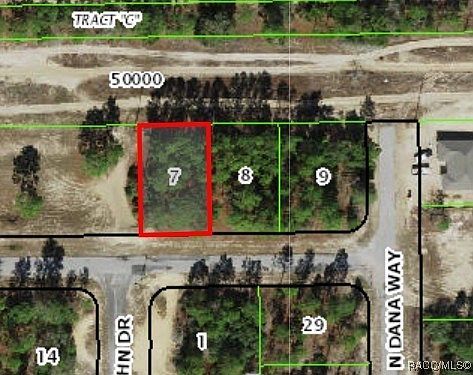 3131 W Wilhelm St Citrus Springs, FL 34433 - Thumbnail 3