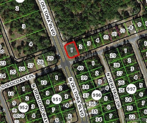 375 W Goldcoast Pl Citrus Springs, FL 34434 - Thumbnail 3