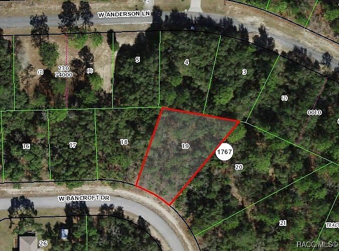 645 W Bancroft Dr Citrus Springs, FL 34434 - Thumbnail 3