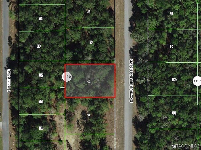 1471 E Citrus Springs Blvd Citrus Springs, FL 34434 - Thumbnail 3