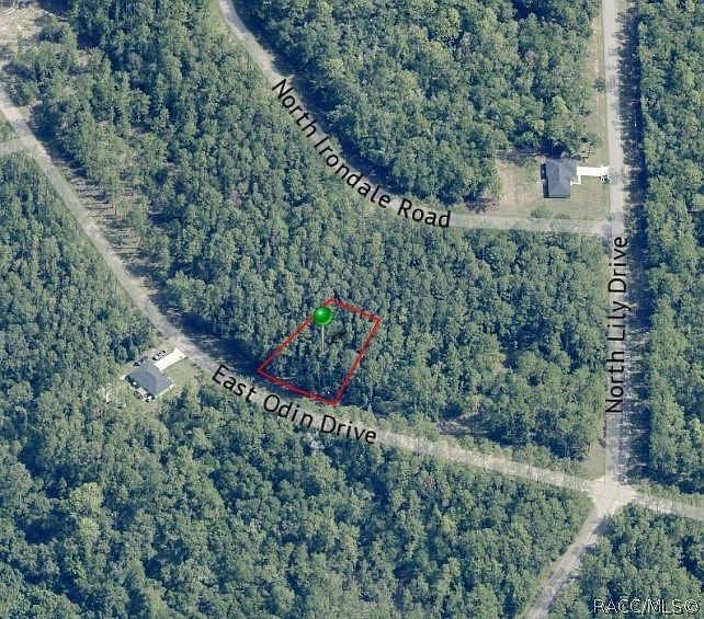 1345 E Odin Dr Citrus Springs, FL 34434 - Thumbnail 3