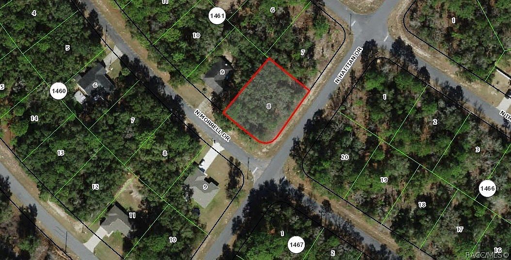 11019 N Morrell Dr Citrus Springs, FL 34434 - Thumbnail 3