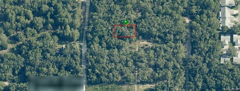703 Dalwood Ave Inverness, FL 34453 - Thumbnail 3