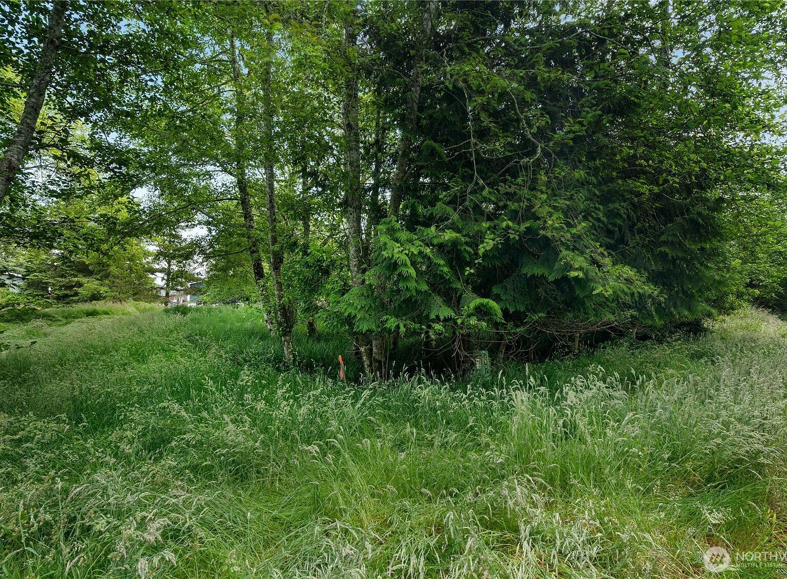 576 Chenois Ave NE Ocean Shores, WA 98569 - Thumbnail 3