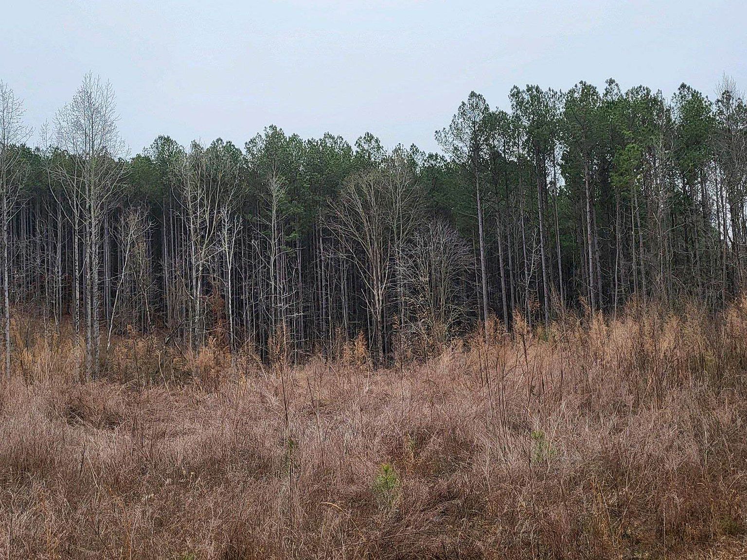 461 Cowford Bridge Rd Spartanburg, SC 29302 - Thumbnail 3