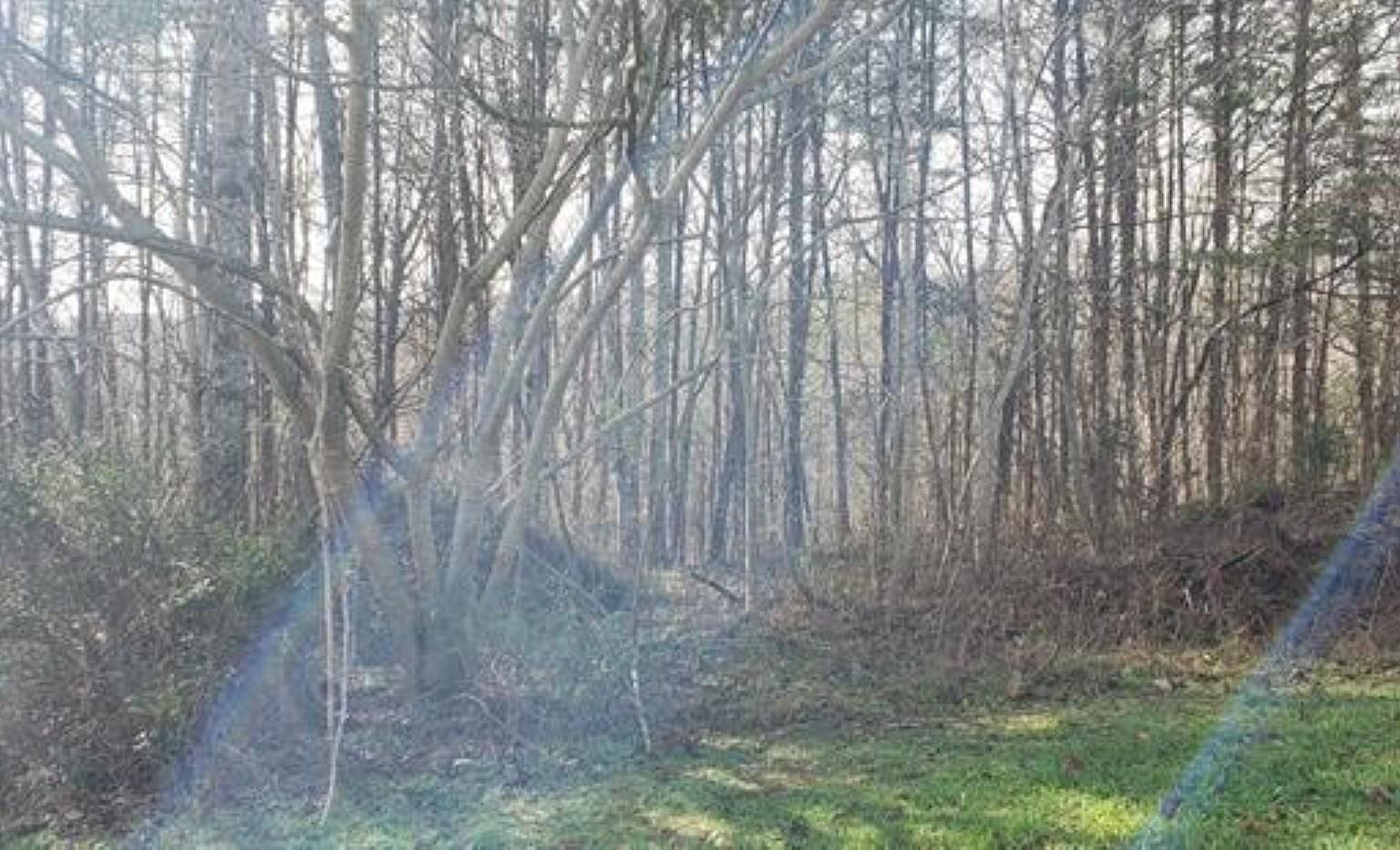 0 Lockhart Cir Landrum, SC 29356 - Thumbnail 3