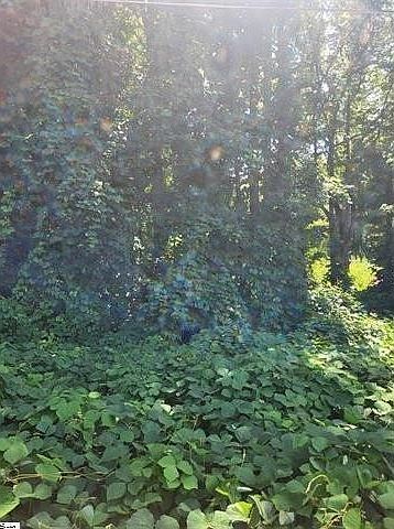 0 Clark Rd Inman, SC 29349 - Thumbnail 3