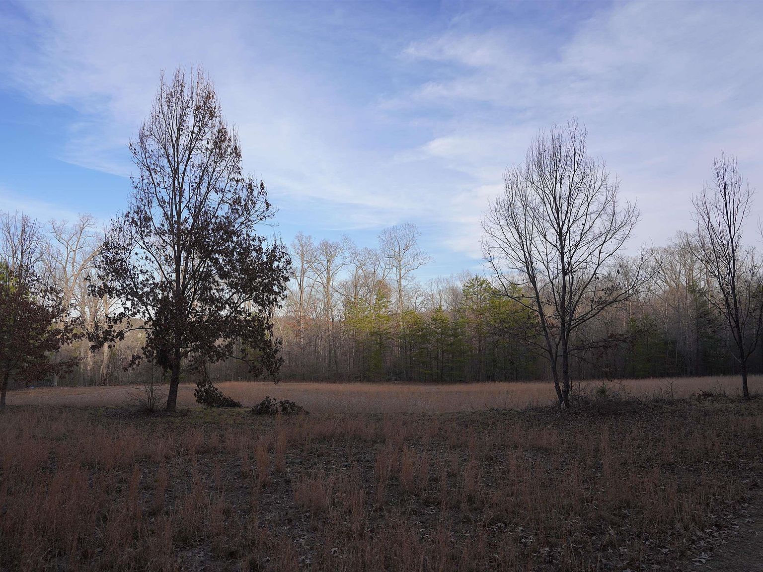 416 Bulls Rd Taylors, SC 29687 - Thumbnail 3