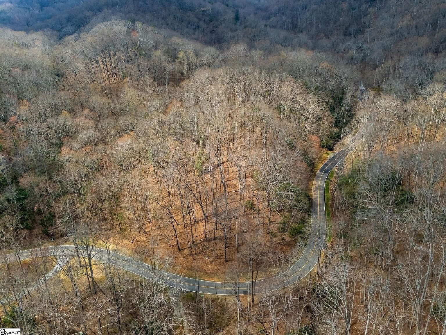 301 Limestone Trl Landrum, SC 29356 - Thumbnail 3