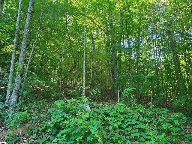 0 Hidden Valley Rd Marietta, SC 29661 - Thumbnail 3