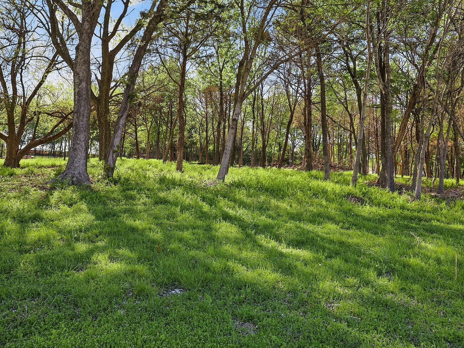 LOT 22 Lake Breeze Dr McKinney, TX 75071 - Thumbnail 3