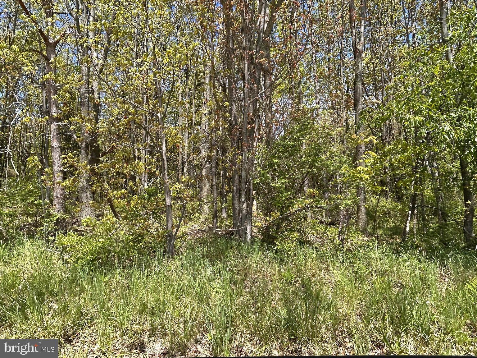 0 Harris St Philipsburg, PA 16866 - Thumbnail 3