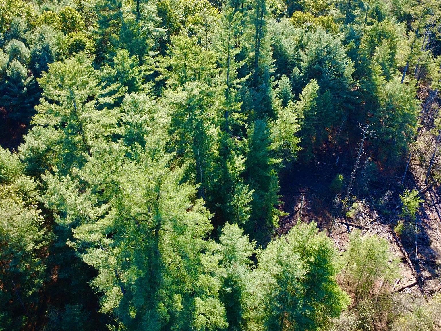 0 Pine Glen Rd Karthaus, PA 16845 - Thumbnail 3