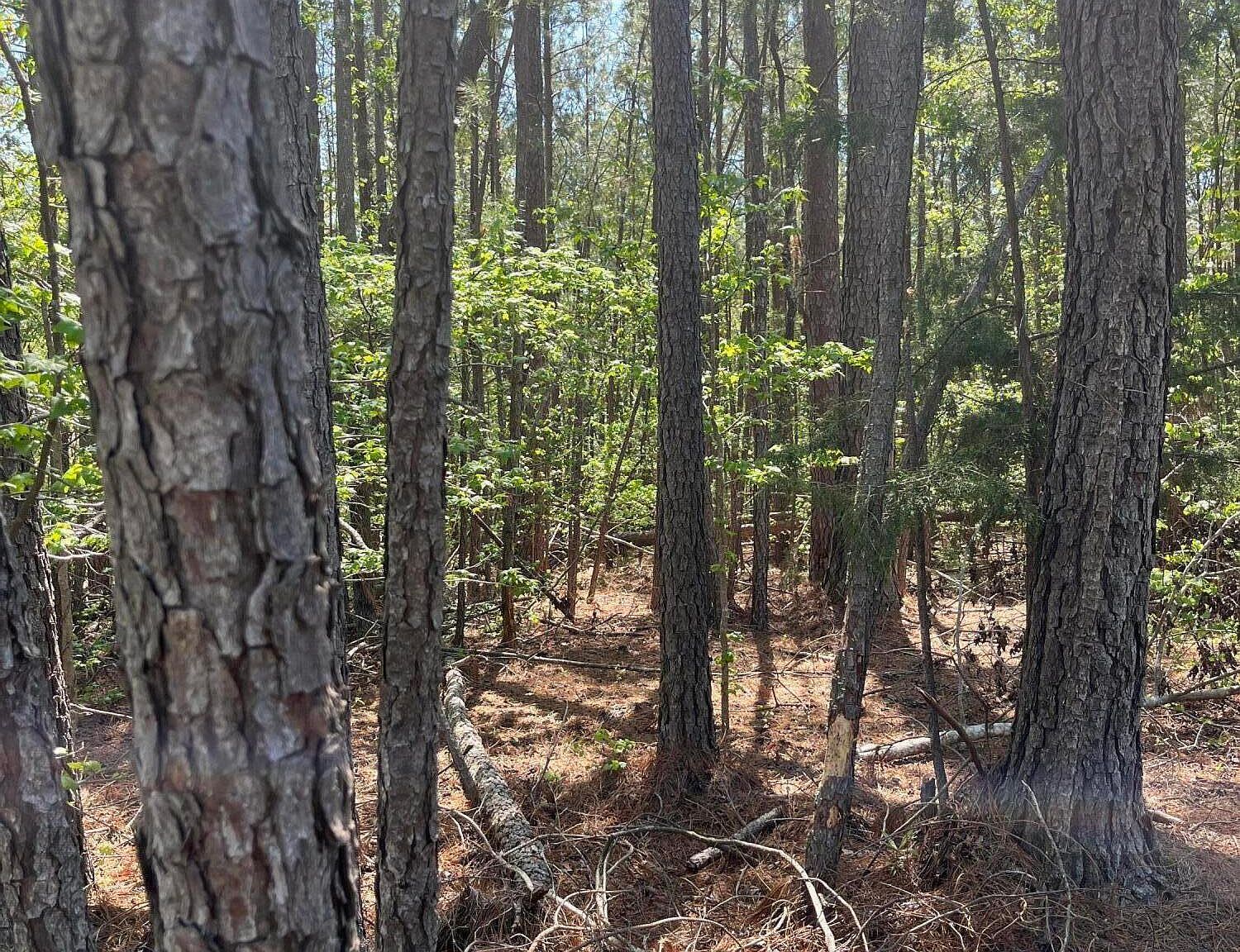 1439 L B39 Antioch Dr #14 Mc Cormick, SC 29835 - Thumbnail 3