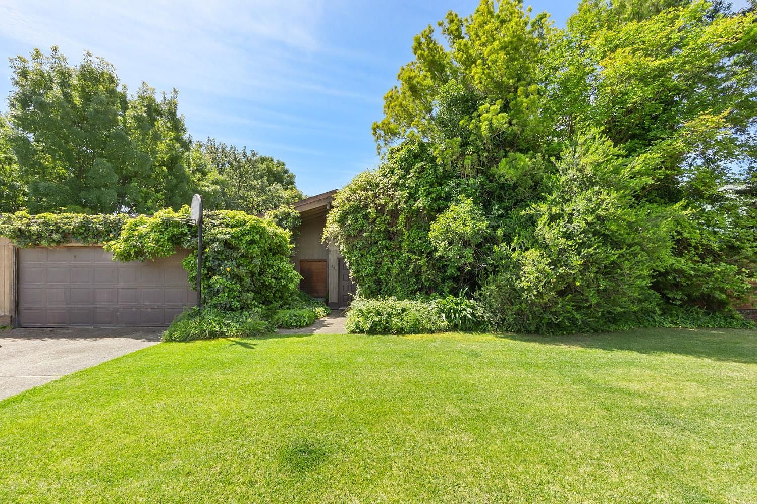 827 Del Oro St Woodland, CA 95695 - Thumbnail 3