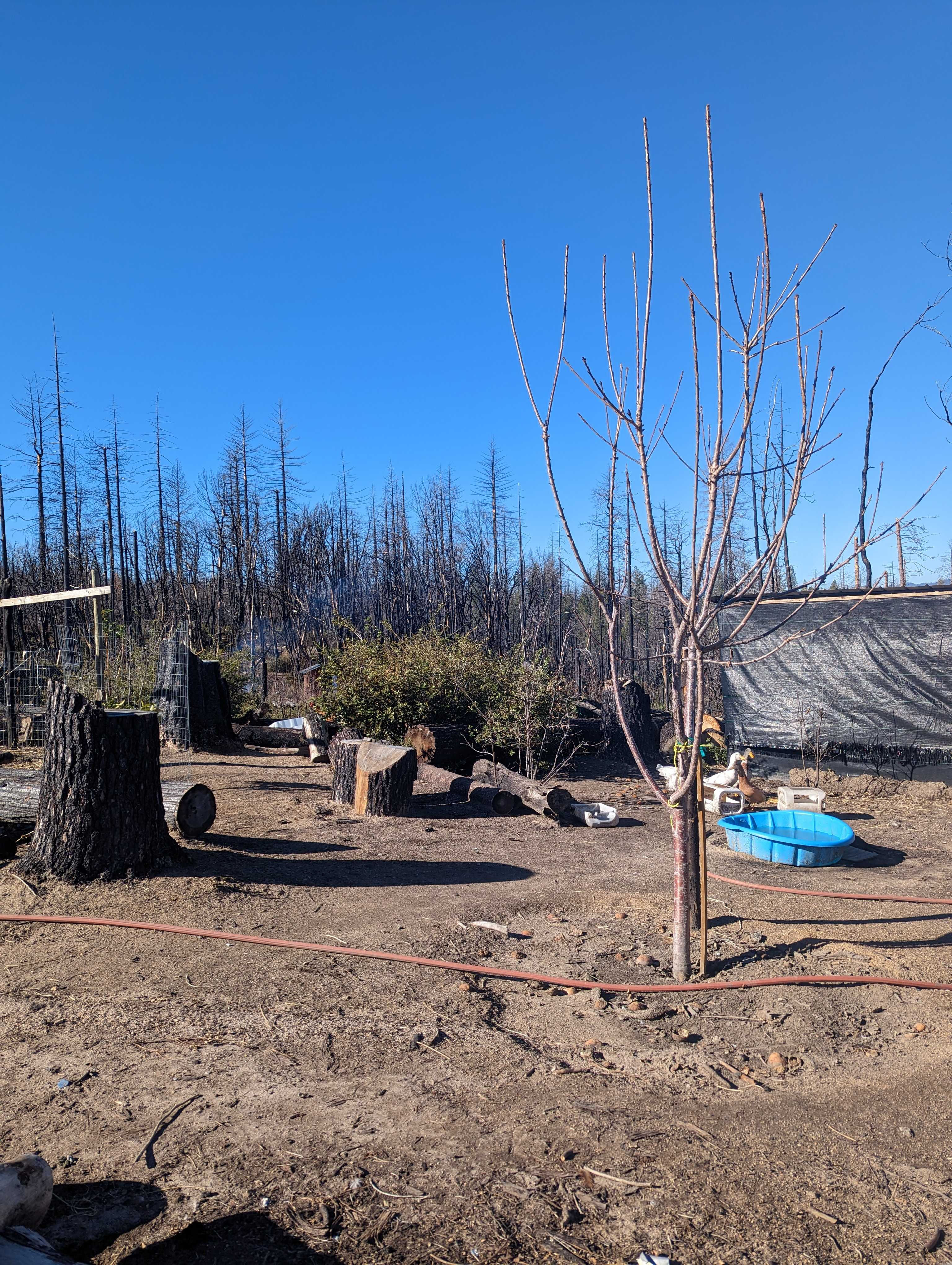 1 Simpson Ranch Rd, Berry Creek, CA, USA, 95916 - Thumbnail 3