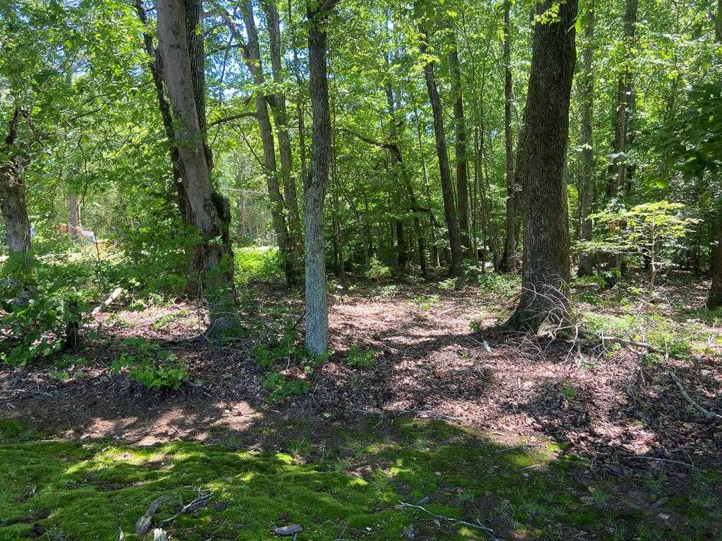 Lot 22-E Highway Nine-O-Three, Bracey, VA, 23919 - Thumbnail 3