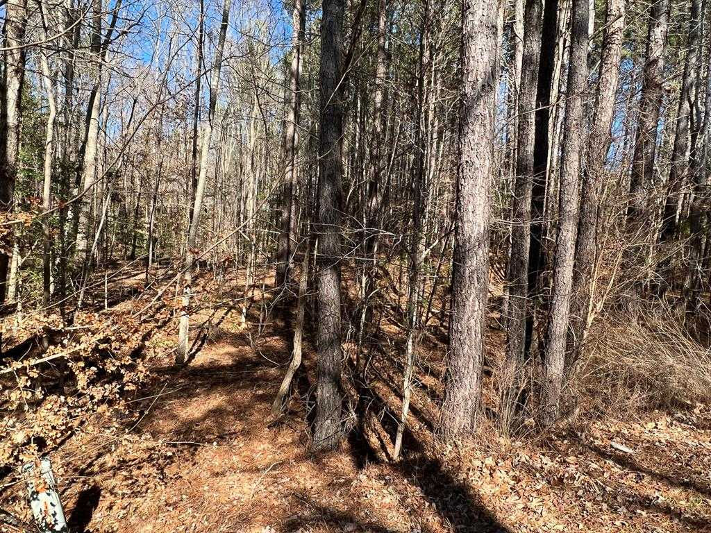 Lot 77 Mill Creek Drive - Thumbnail 3