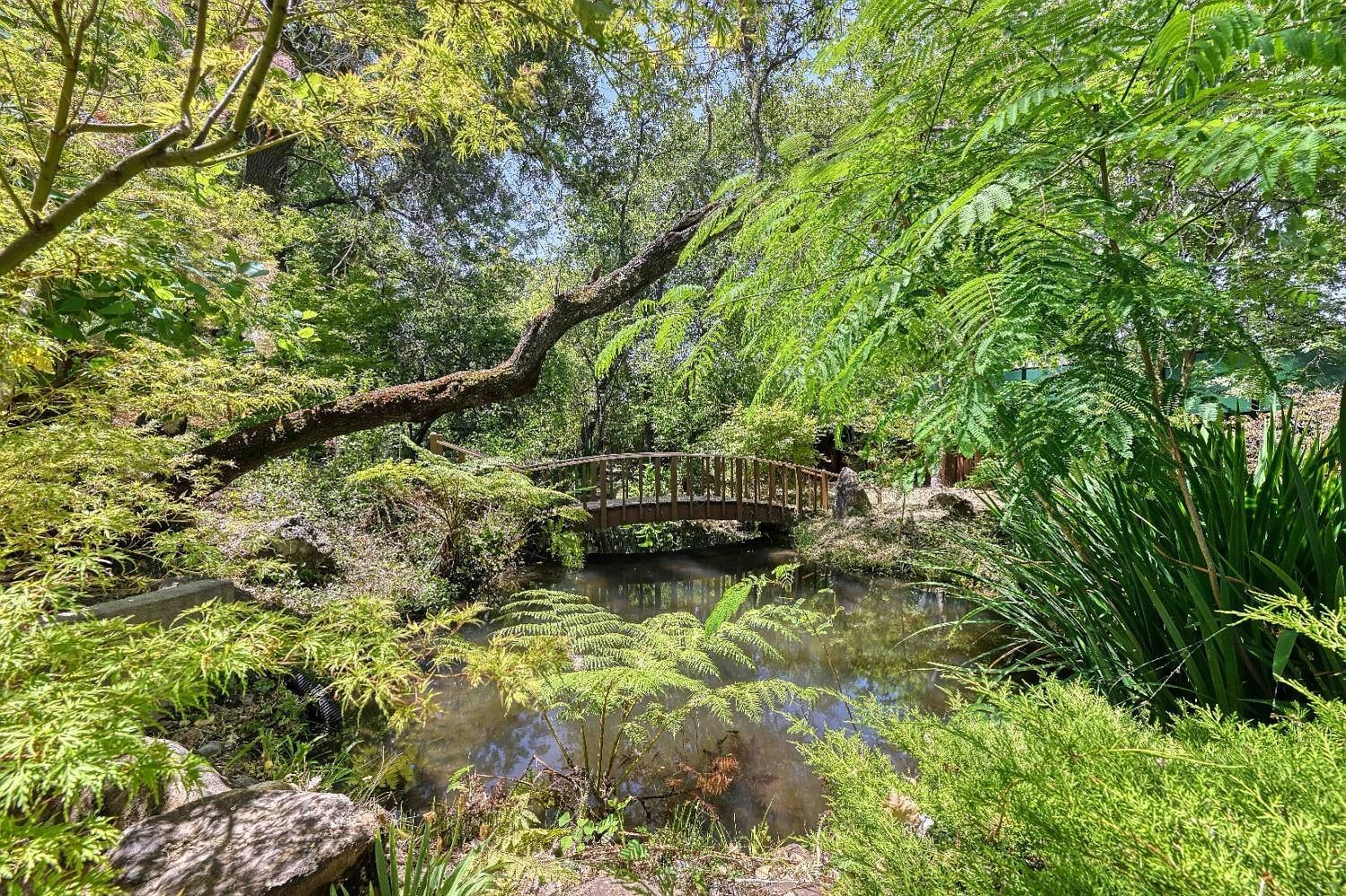 7730 Suzuki Ln Loomis, CA 95650 - Thumbnail 3