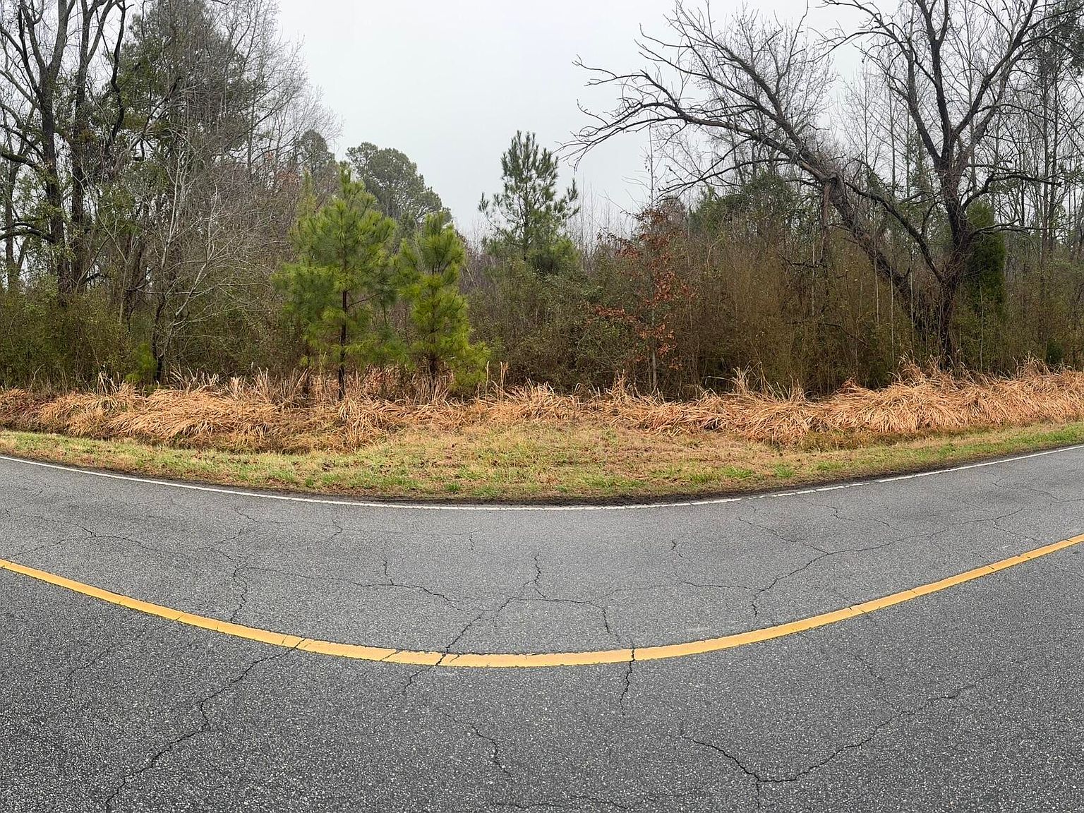 894 Swamp Rd Pantego, NC 27860 - Thumbnail 3