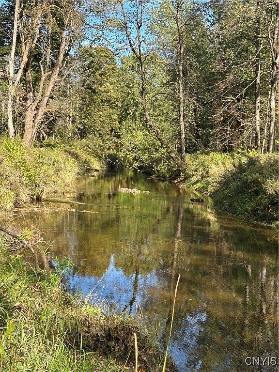 15196 State Route 104 Spur #25 Martville, NY 13111 - Thumbnail 3