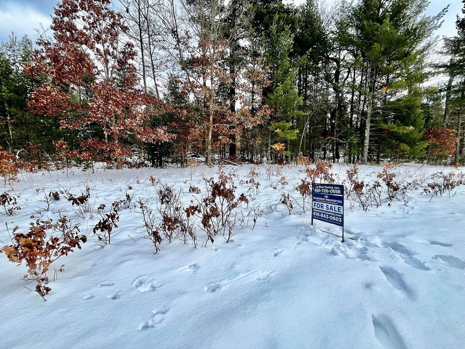 1242 Sydney St LOT 33 Whitehall, MI 49461 - Thumbnail 3