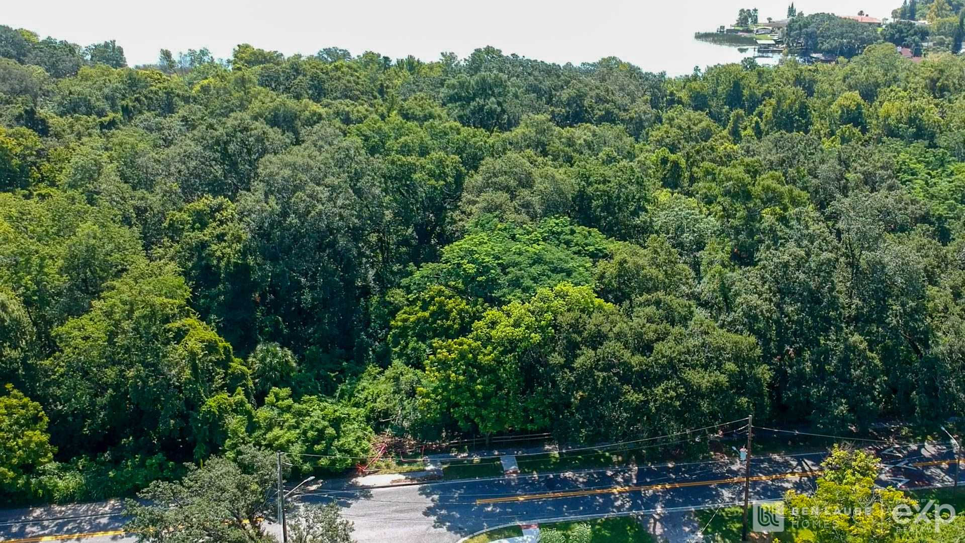 South Westmoreland Drive, Orlando, FL, USA, 32805 - Thumbnail 3