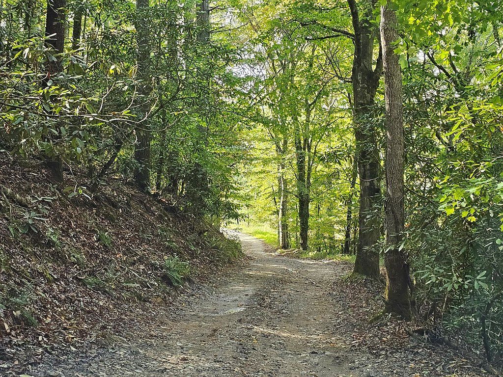 1075 Barn Yard Dr Murphy, NC 28906 - Thumbnail 3