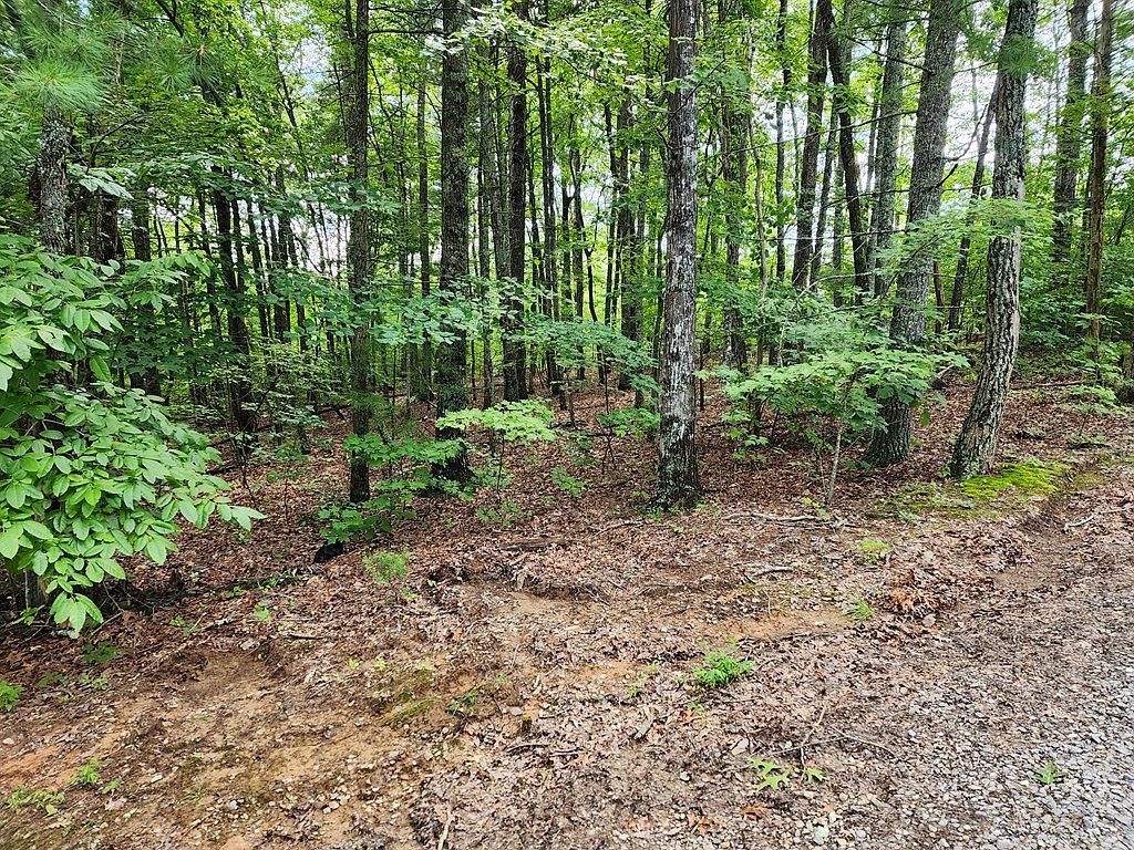 0 Gray Grouse Trl Murphy, NC 28906 - Thumbnail 3