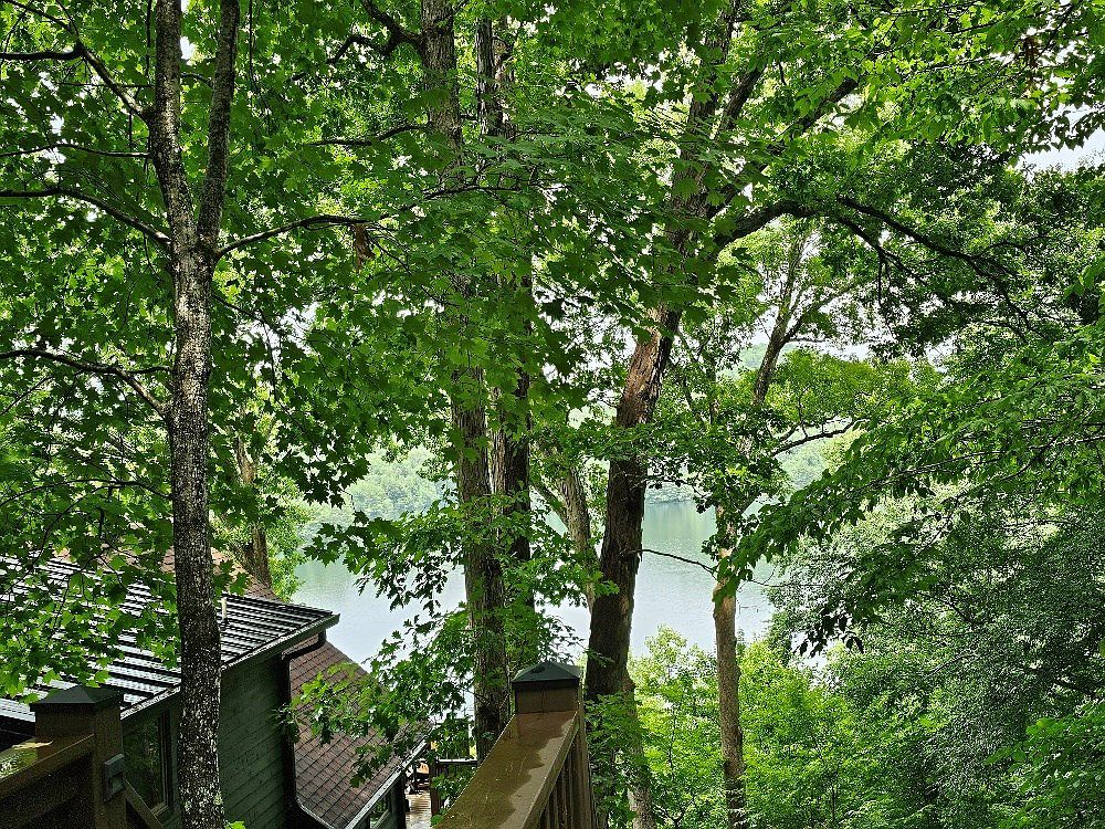 12 Wilderness Lake Cir Murphy, NC 28906 - Thumbnail 3