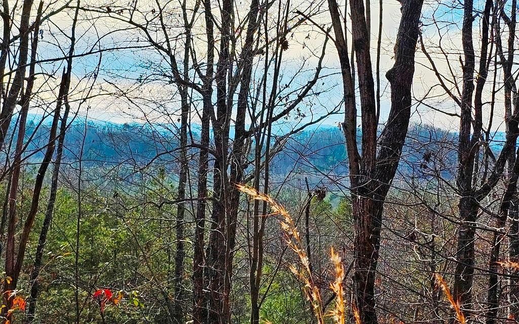 LOT 80 Graystone Dr Murphy, NC 28906 - Thumbnail 3