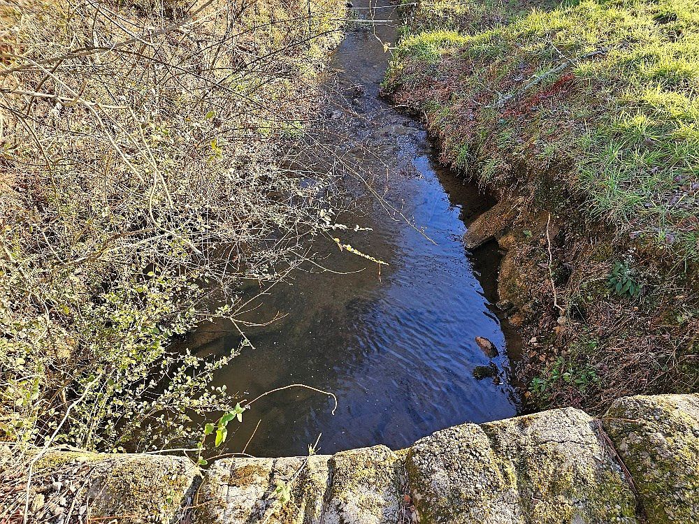 21 Broadleaf Ln Murphy, NC 28906 - Thumbnail 3