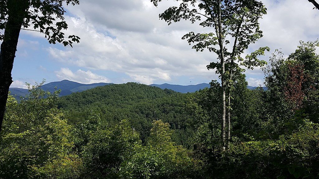 LOT 22 Tyler Rdg Murphy, NC 28906 - Thumbnail 3