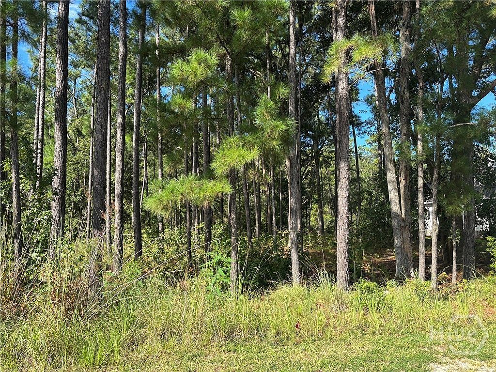 183 Wood Haven Ln Pooler, GA 31322 - Thumbnail 3