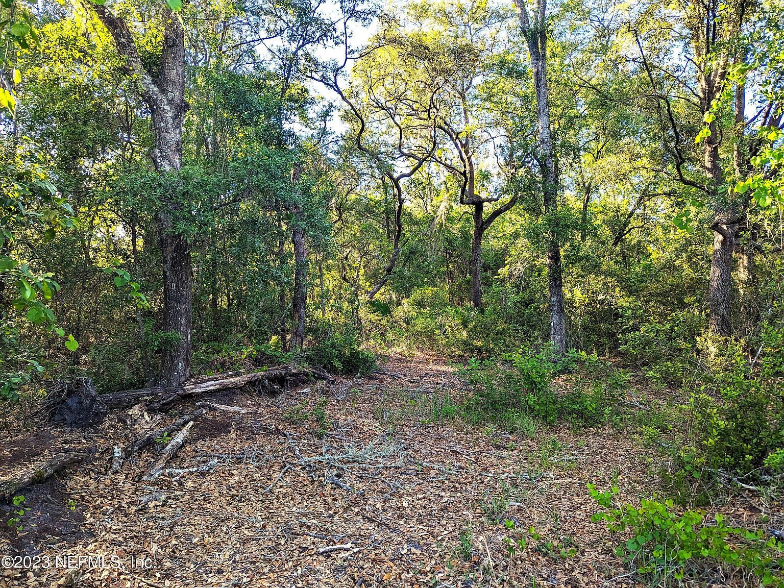 5729 Chippewa Ave Keystone Heights, FL 32656 - Thumbnail 3