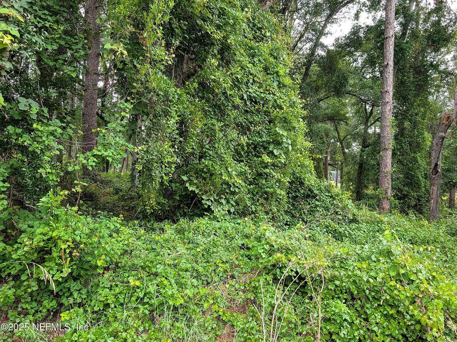 0 SE 1st Ave Keystone Heights, FL 32656 - Thumbnail 3