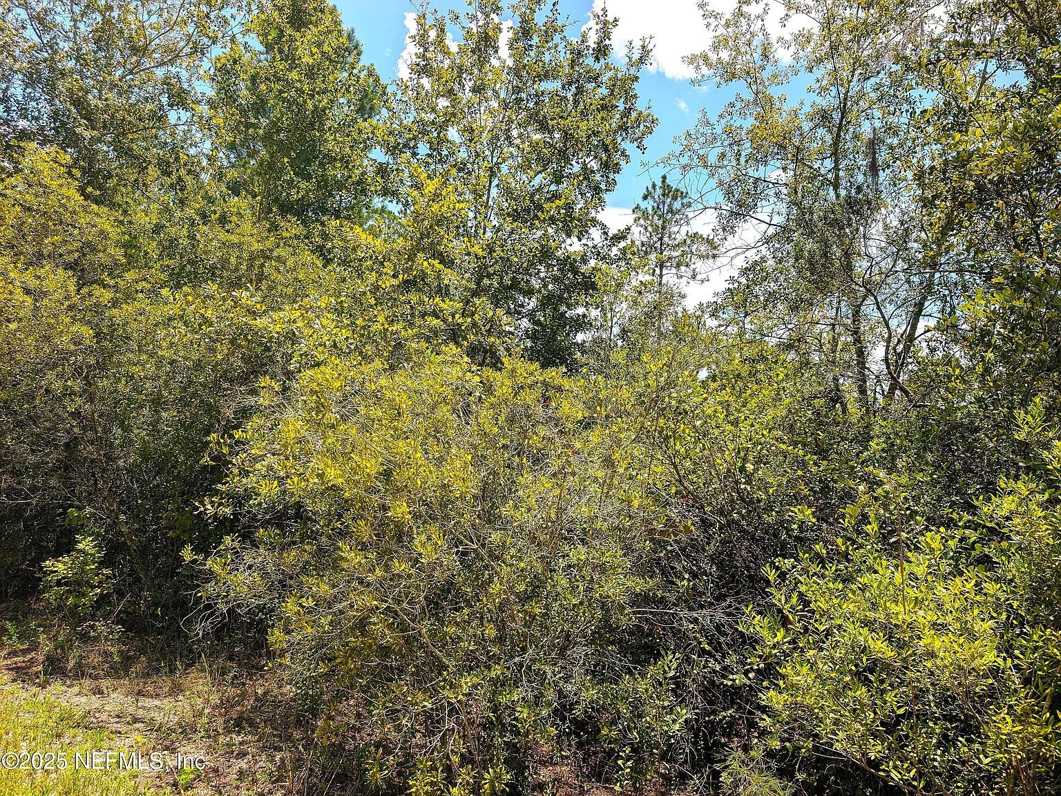 0 SE 92nd St, Starke, FL, 32091 - Thumbnail 3