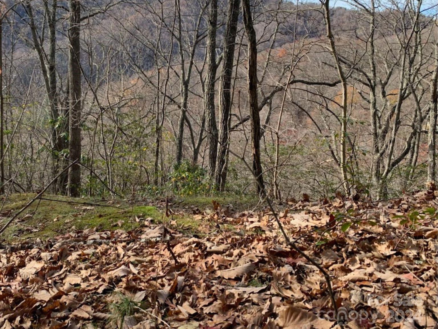 0 Seasons Dr, Clyde, NC, 28721 - Thumbnail 3