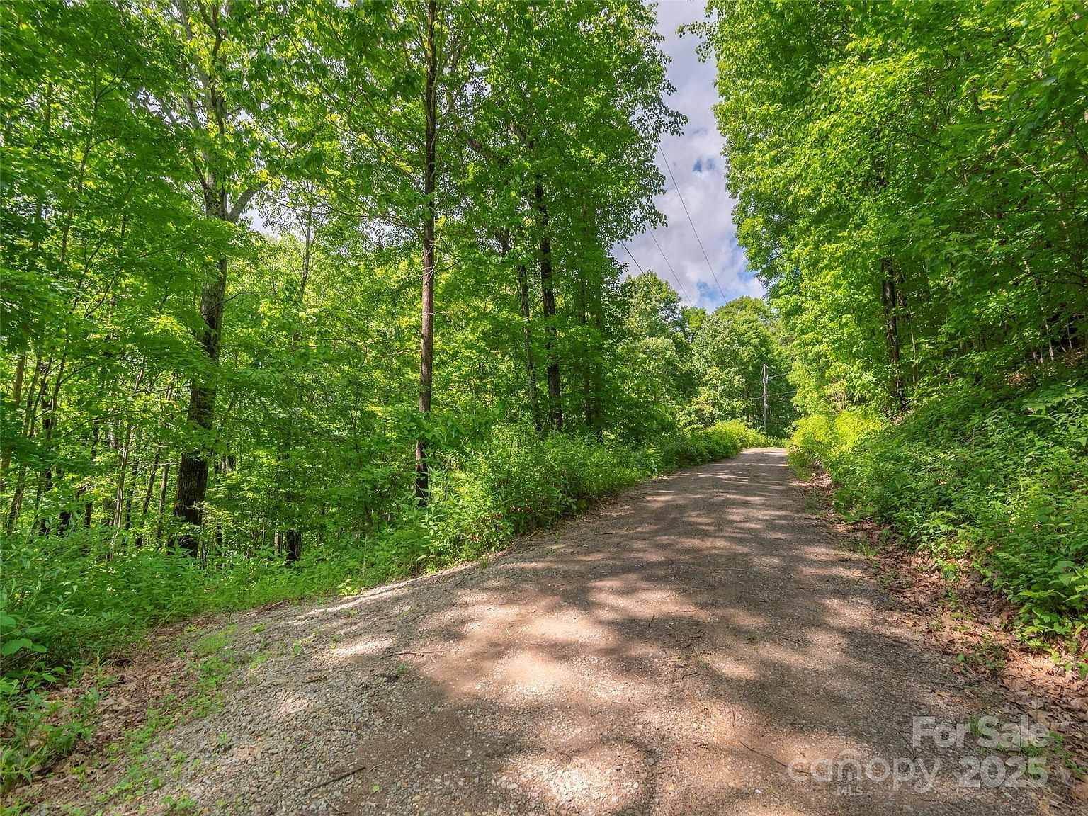 99999 Sara Ridge Rd #32C Waynesville, NC 28786 - Thumbnail 3