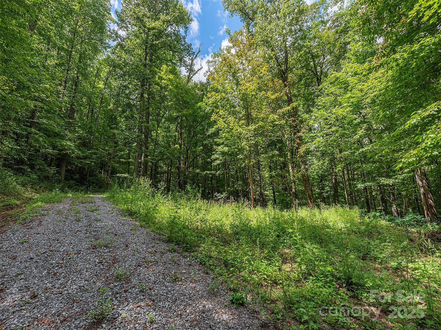 0 Flowing Brook Ln #6 Waynesville, NC 28786 - Thumbnail 3