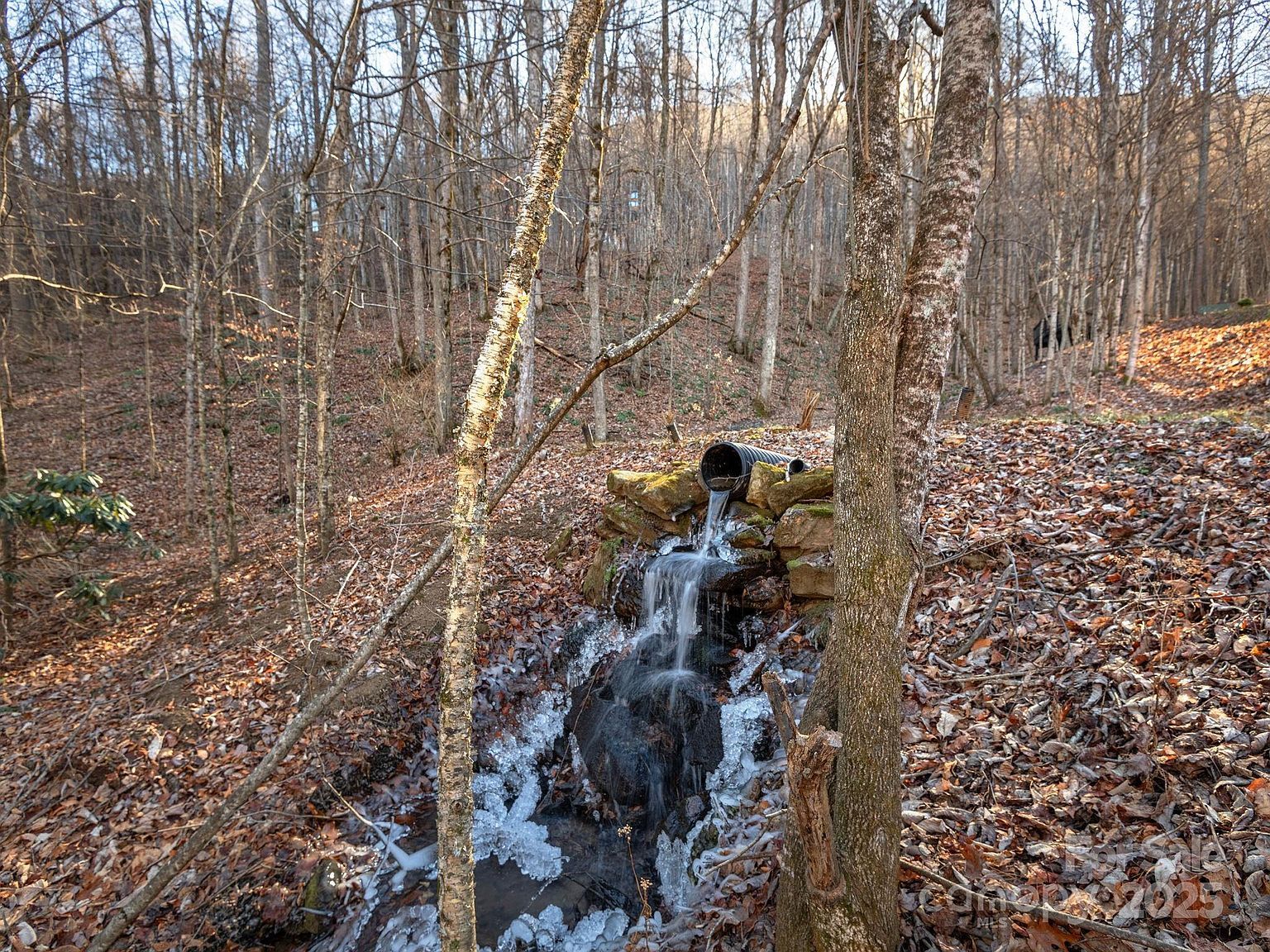 1591 Chestnut Flats Ln Waynesville, NC 28786 - Thumbnail 3