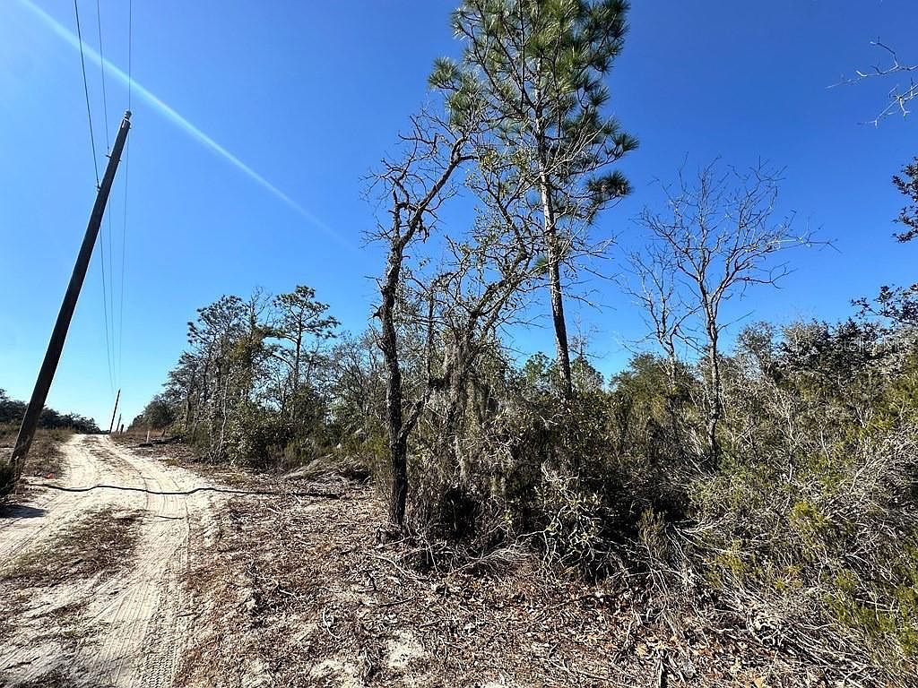 NE 63rd Pl #21 Williston, FL 32696 - Thumbnail 3