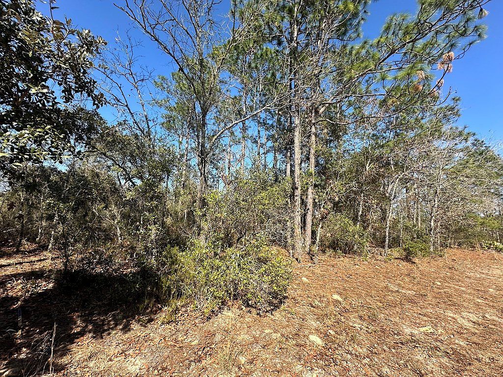 0 NE 66th Ln Williston, FL 32696 - Thumbnail 3