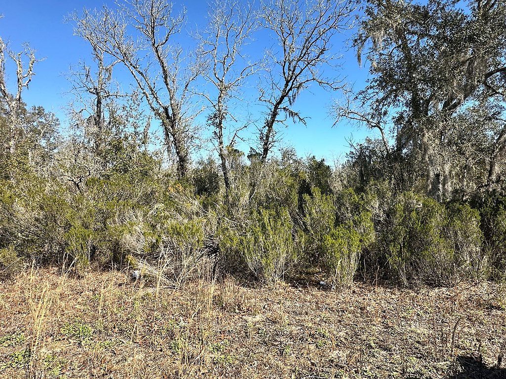 0 NE 67th Ln Williston, FL 32696 - Thumbnail 3