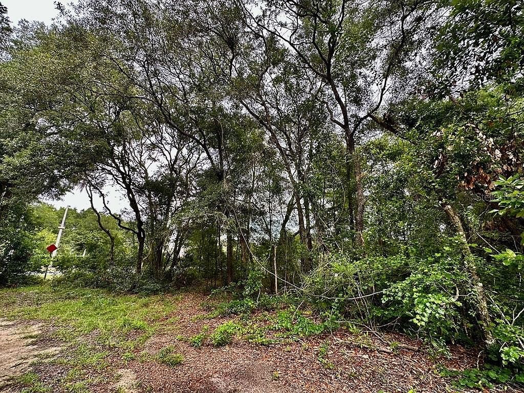 NW 76th Ter #10 Chiefland, FL 32626 - Thumbnail 3